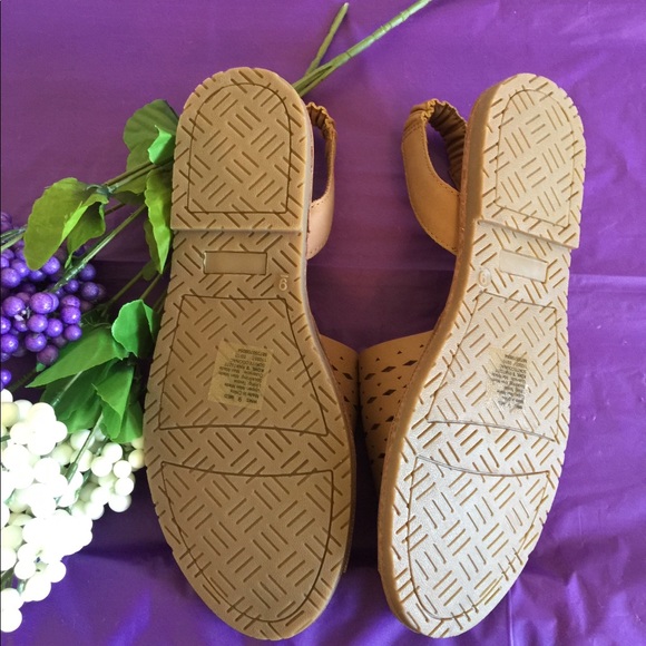 SO Scandals - Picture 3 of 8